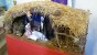 San Lussorio | Martire - presepe_san_lussorio_2015